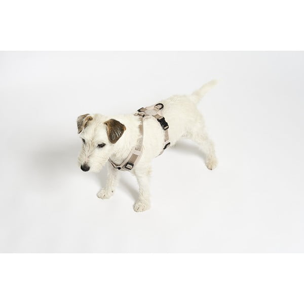 Bézs hám L hosszúság 42 cm Modena Greige L – MiaCara-image-2