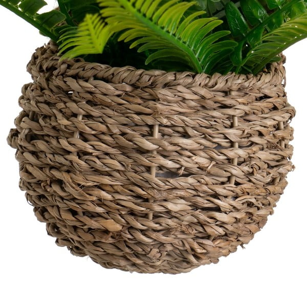 Haraszt műnövény (magasság 25 cm) – Casa Selección-image-2