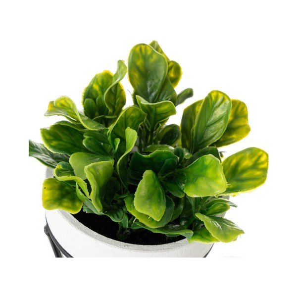 Művirág szett 4 db-os – Casa Selección-image-1