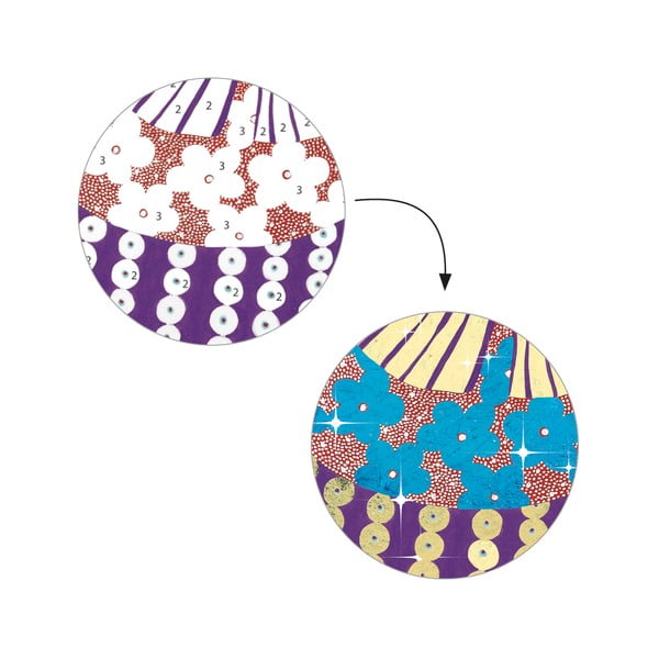 Nagyszerű pompa kreatív készlet - Djeco-image-1