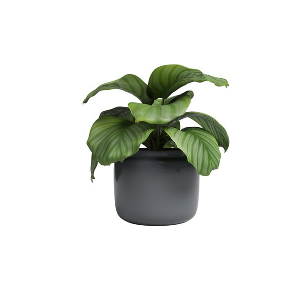 Kerámia kézzel készített virágcserép ø 20 cm Astrea – Artevasi-image-3