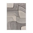 Szürke szőnyeg 160x230 cm Medel – Universal