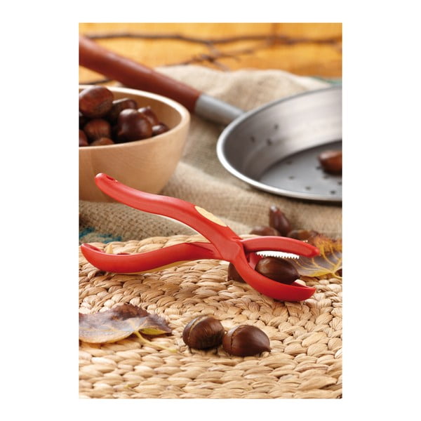 Chestnut piros diótörő - Snips-image-2