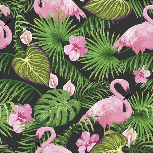 Sacaba falmatrica, 40 x 40 cm - Ambiance-image-3