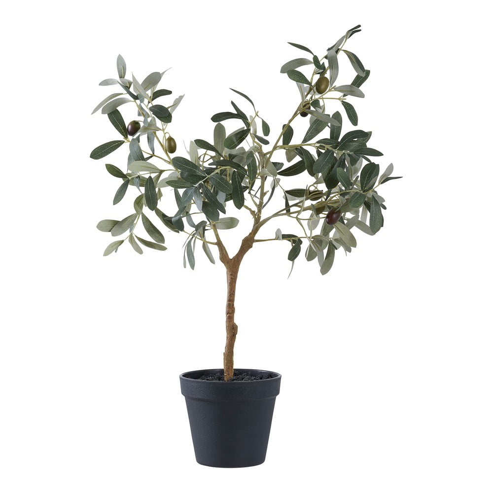Olajfa műnövény (magasság 61 cm) – House Nordic