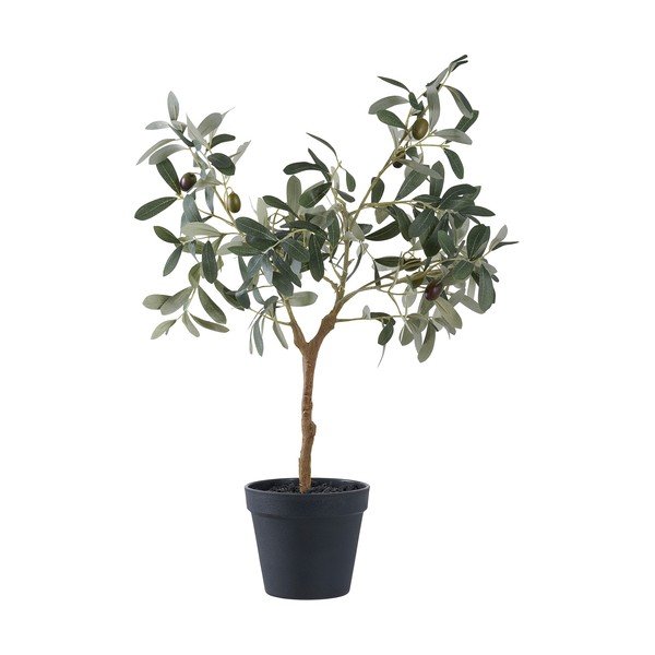 Olajfa műnövény (magasság 61 cm) – House Nordic