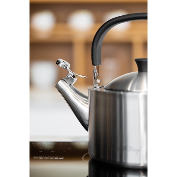 Diamante matt rozsdamentes vízforraló kanna, 1,5 l - Vialli Design-image-3