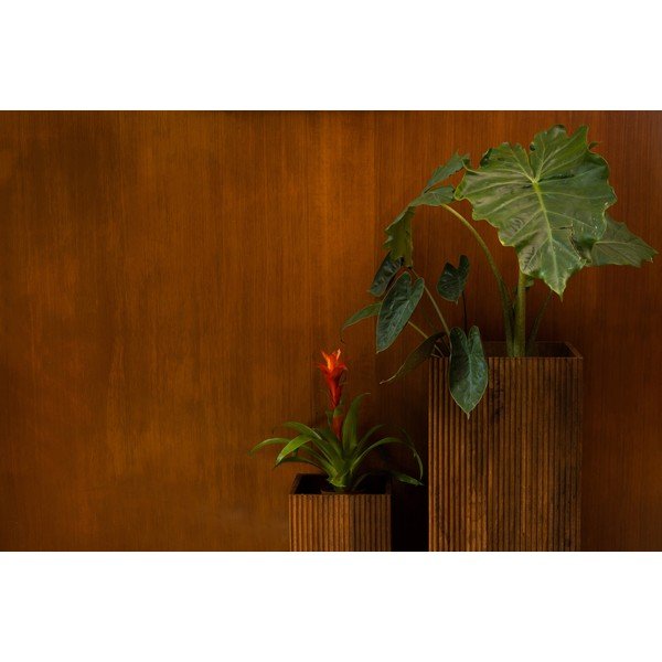 Fa virágtartó állvány szett 2 db-os (magasság 80 cm) Ribble – Dutchbone-image-3