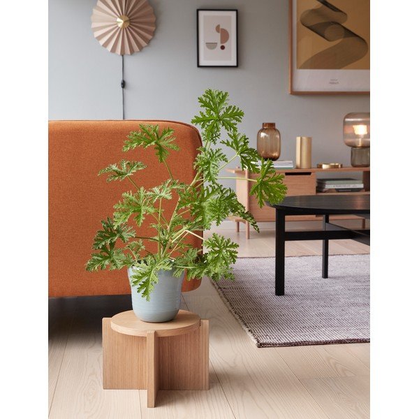 Bézs konnektorhoz csatlakoztatható fali lámpa ø 48 cm Pliss – Hübsch-image-1