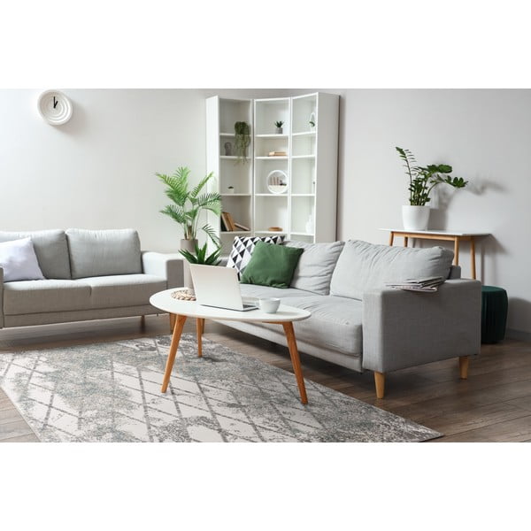 Szürke szőnyeg 200x280 cm Sensi Gepi – FD-image-1