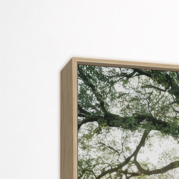Kép 150x60 cm Tree in the Sun-image-3