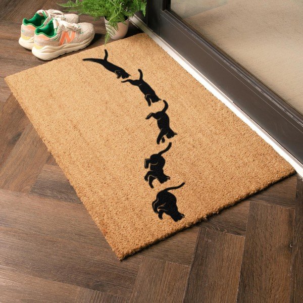 Kókuszrost lábtörlő 40x60 cm Jumping Cats – Artsy Doormats-image-1