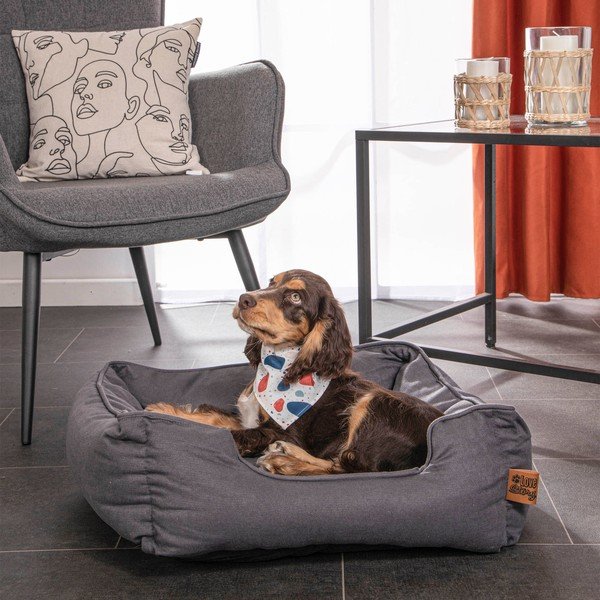 Kék fekhely kutyáknak 50x55 cm – Love Story-image-1