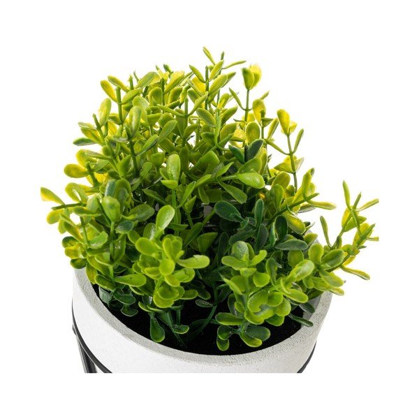 Művirág szett 4 db-os – Casa Selección-image-3