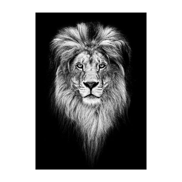 King Of Jungle plakát, 40 x 30 cm - Imagioo