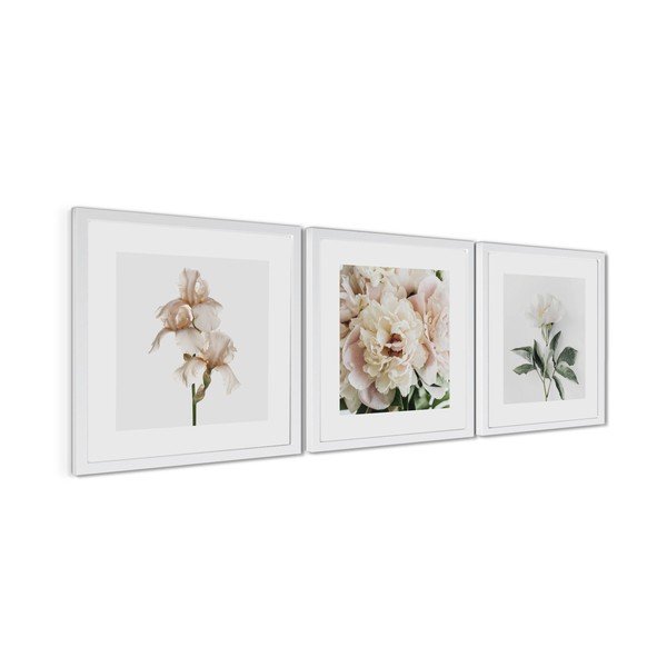 Nyomtatott keretezett kép szett 3 db-os 30x30 cm Posy – Styler-image-4
