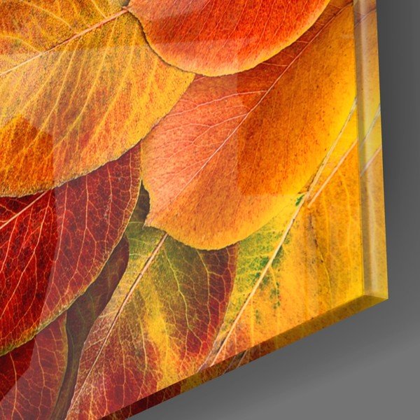 Fall üvegezett kép - Insigne-image-3