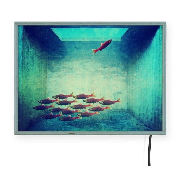 Free Fish világító fali dekoráció, 40 x 30 cm - Surdic