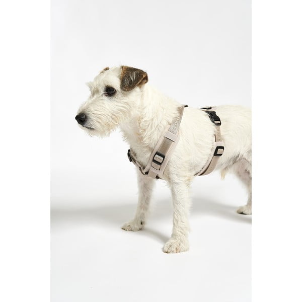 Bézs hám L hosszúság 42 cm Modena Greige L – MiaCara-image-4