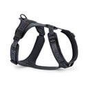 Sötétszürke hám L hosszúság 42 cm Modena Asphalt L – MiaCara