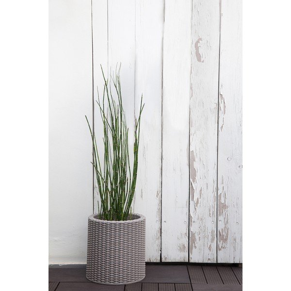 Műanyag virágcserép ø 28 cm Cylinder – Keter-image-1