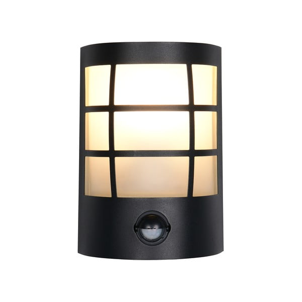 Fali kültéri lámpa (magasság 20 cm) Sintra – Trio