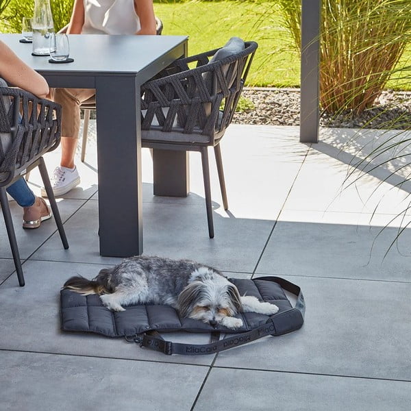 Sötétszürke utazó fekhely kutyáknak 70x100 cm Strada Asphalt M – MiaCara-image-2