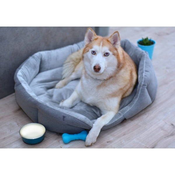 Szürke fleece fekhely 90x70 cm Alík - Petsy-image-1