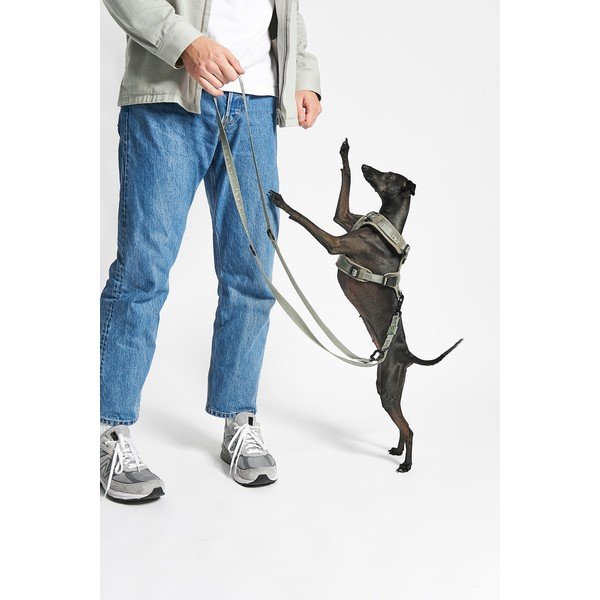 Zöld hám XS hosszúság 25 cm Modena Grolive XS – MiaCara-image-2