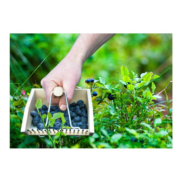 Pond áfonyagyűjtő bükkfából - Esschert Design-image-2