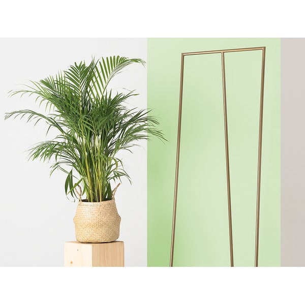 Aranyszínű fém fogas Zet - CustomForm-image-2