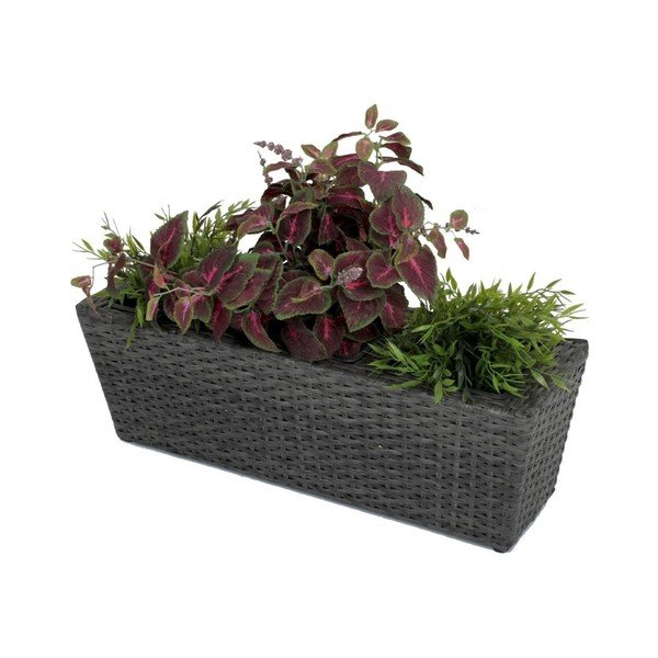 Láda 60 cm Mentha – Garden Pleasure-image-1