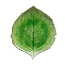 Riviera zöld agyagkerámia tányér, 19 x 22 cm - Costa Nova