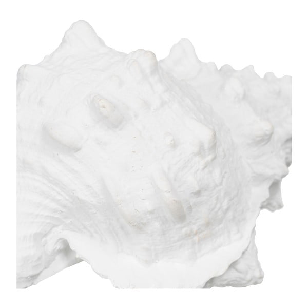 Poligyanta szobor (magasság 12 cm) Seashell – Ixia-image-1