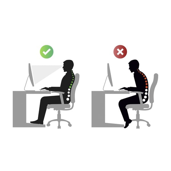 Háttámasztó öv L/XL - Maximex-image-4