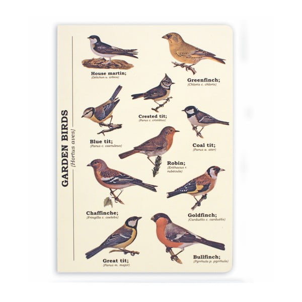 Garden Birds jegyzetfüzet, A5 - Gift Republic