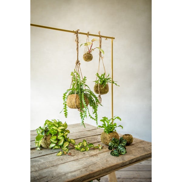 Virágcserép ø 20 cm Kokedama – Esschert Design-image-2