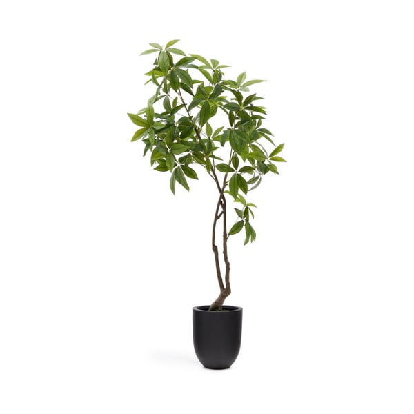 Műnövény (magasság 180 cm) Pachira – Kave Home