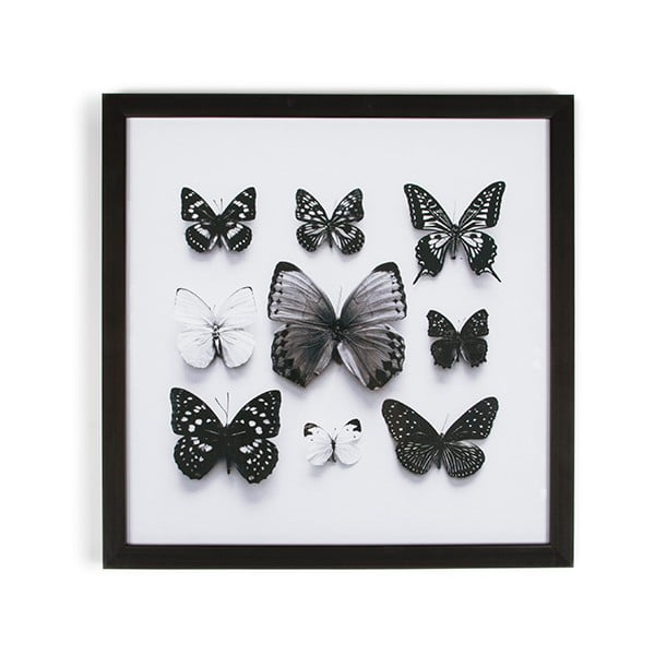 Butterfly Studies keretezett kép, 50 x 50 cm - Graham & Brown