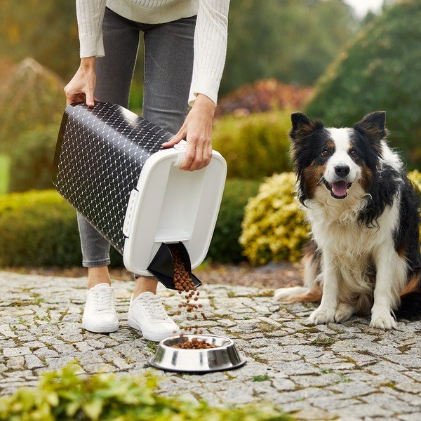 Fekete állateledel tartó doboz 25 l Cody - Rotho-image-2