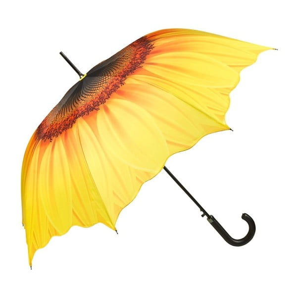 Sunflower botesernyő - Von Lilienfeld