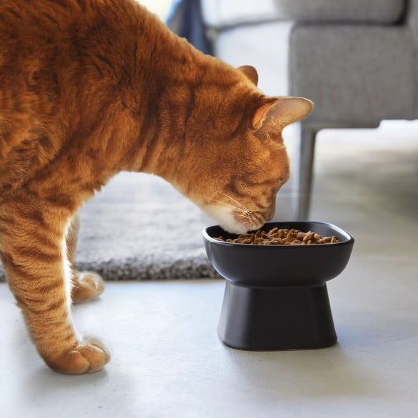 Kerámia tálka kisállatoknak Tower – YAMAZAKI-image-1