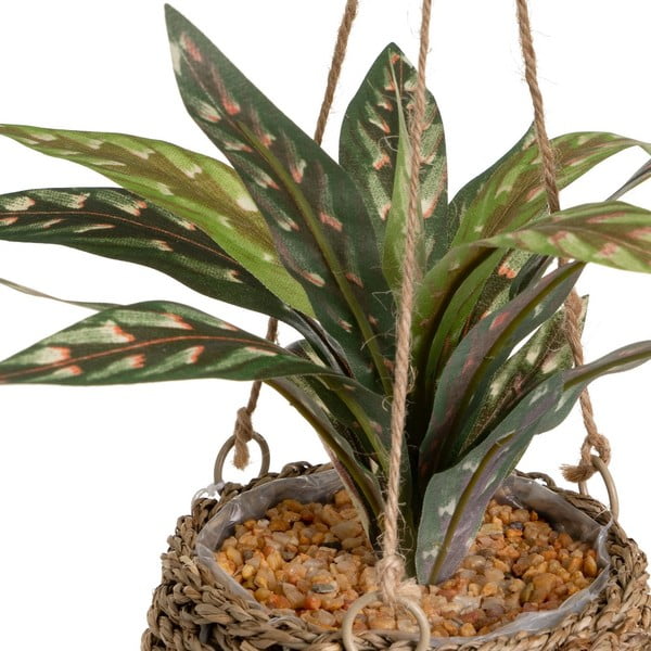 Műnövény (magasság 25 cm) – Casa Selección-image-1