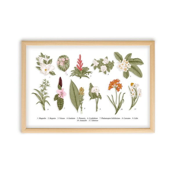 Botanical Flowers kép borovi fenyő kerettel, 50 x 70 cm - Surdic
