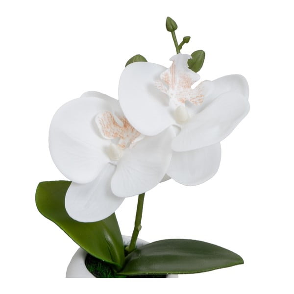 Műnövény szett 3 db-os (magasság 15 cm) Orchid – Casa Selección-image-1