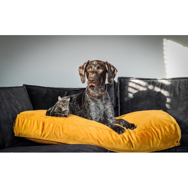 Sárga matrac kutyáknak 80x55 cm – Madison-image-1