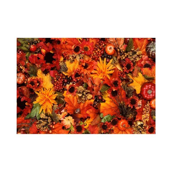 Margo kisméretű szőnyeg / lábtörlő, 75 x 52 cm - Zerbelli-image-3