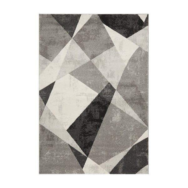 Szürke szőnyeg 120x170 cm Nova – Asiatic Carpets