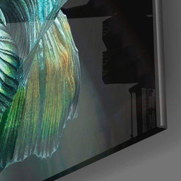 Betta üvegezett kép - Insigne-image-3