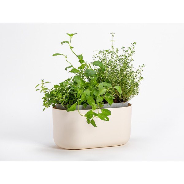 Tolita bézs önöntöző virágláda - Plastia-image-1